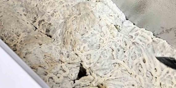 İşkembe Görünümlü Zula Ekipleri Beklenmedik Bir Şaşkınlık Yarattı İşkembe Görünümlü Zula Ekipleri Beklenmedik Bir Şaşkınlık Yarattı