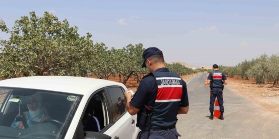 Jandarmadan Fıstık Hırsızlarına Karşı Etkili Denetim Stratejileri Jandarmadan Fıstık Hırsızlarına Karşı Etkili Denetim Stratejileri