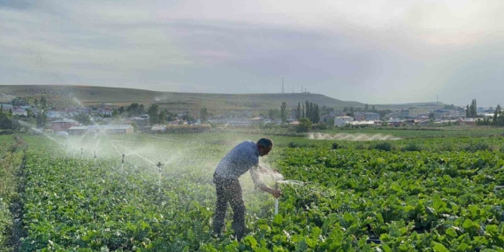 Karslı Baba, Çocuklarının Geleceği İçin Pancar Ekimine Sarıldı Karslı Baba, Çocuklarının Geleceği İçin Pancar Ekimine Sarıldı