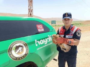 koruma-altina-alinan-yarali-sahin-doganin-kahramani-J82Ia5Gu.jpg