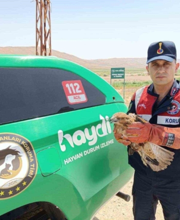 koruma-altina-alinan-yarali-sahin-doganin-kahramani-J82Ia5Gu.jpg
