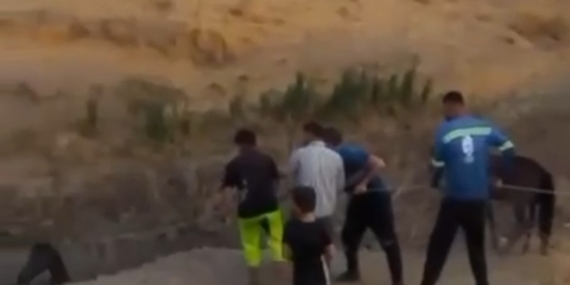 Köylülerin Kahramanlığı: Çamura Saplanan Atı Kurtarma Mücadelesi Köylülerin Kahramanlığı: Çamura Saplanan Atı Kurtarma Mücadelesi