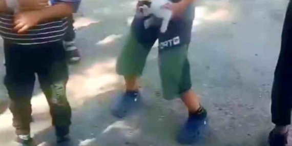 Kuyuda Mahsur Kalan Kediye Çocukların Cesur Yardımı Kuyuda Mahsur Kalan Kediye Çocukların Cesur Yardımı