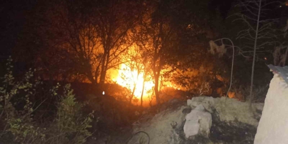 Malatya'da Bahçe Yangını: Korkutan Anlar Malatya’da Bahçe Yangını: Korkutan Anlar