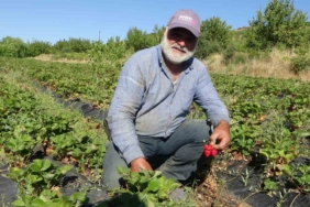 malatyada-cilek-hasadi-yazin-gelisini-mujdeleyen-neseli-anlar-kTmUJWOl.jpg