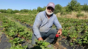 malatyada-cilek-hasadi-yazin-gelisini-mujdeleyen-neseli-anlar-kTmUJWOl.jpg