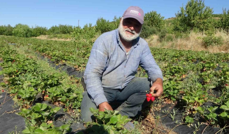 malatyada-cilek-hasadi-yazin-gelisini-mujdeleyen-neseli-anlar-kTmUJWOl.jpg