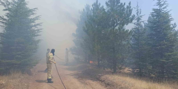 Malatya'nın Ormanlık Alanında Yangın Alarmı: Doğa Koruma Mücadelesi Malatya’nın Ormanlık Alanında Yangın Alarmı: Doğa Koruma Mücadelesi