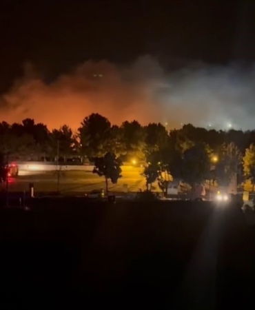 mardinde-korkutan-orman-yangini-doga-ve-hayat-tehlikede-z4yp532L.jpg
