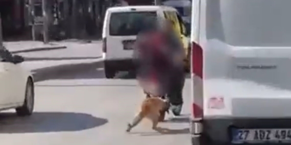 Motosikletin Arkasına Bağlı Köpeği Sürükleyen Şok Edici Anlar Motosikletin Arkasına Bağlı Köpeği Sürükleyen Şok Edici Anlar