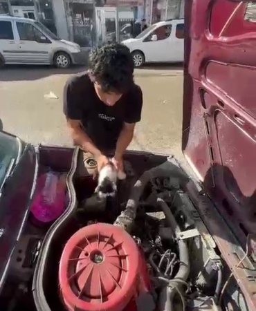 otomobilin-motorunda-sikisan-yavru-kedi-hayata-dondu-XBvc66m2.jpg