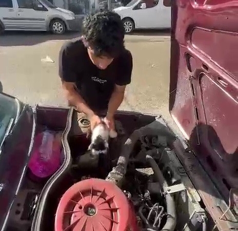 otomobilin-motorunda-sikisan-yavru-kedi-hayata-dondu-XBvc66m2.jpg