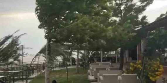 Palu'da Şiddetli Fırtına Hayatı Olumsuz Etkiledi Palu’da Şiddetli Fırtına Hayatı Olumsuz Etkiledi