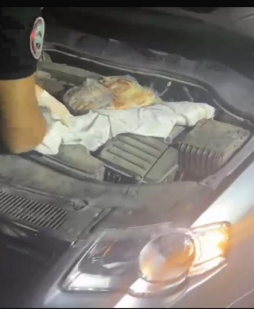 polis-uygulamasinda-otomobilin-kaputundan-iki-kalasnikof-silah-cikti-Iyd9gTES.jpg