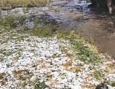 Sarıkamış'ta Yağmur Felaketi: Evler ve Tarım Arazileri Sular Altında Kaldı Sarıkamış’ta Yağmur Felaketi: Evler ve Tarım Arazileri Sular Altında Kaldı