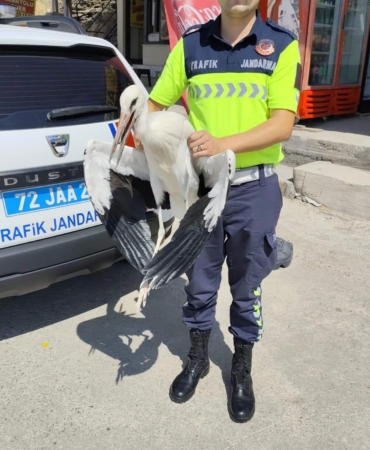 trafik-ekiplerinin-radarina-takilan-yarali-leylek-tedavi-surecine-alindi-Yayg3ptQ.jpg