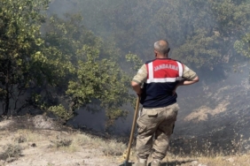 tuncelinin-otluk-ve-ormanlik-alanlarinda-sira-disi-yangin-olayi-7CNpqx85.jpg