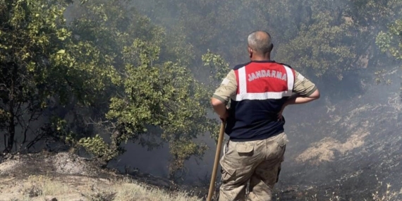 Tunceli'nin Otluk ve Ormanlık Alanlarında Sıra Dışı Yangın Olayı Tunceli’nin Otluk ve Ormanlık Alanlarında Sıra Dışı Yangın Olayı