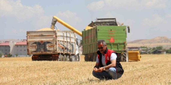 Van Çiftçilerini Sarsan Kuraklık Felaketi Van Çiftçilerini Sarsan Kuraklık Felaketi
