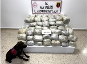 vanda-70-kilo-skunk-madde-ele-gecirildi-uyusturucu-operasyonunda-tarihi-basari-WNGMh5HR.jpg