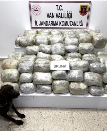 vanda-70-kilo-skunk-madde-ele-gecirildi-uyusturucu-operasyonunda-tarihi-basari-WNGMh5HR.jpg