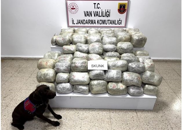 vanda-70-kilo-skunk-madde-ele-gecirildi-uyusturucu-operasyonunda-tarihi-basari-WNGMh5HR.jpg