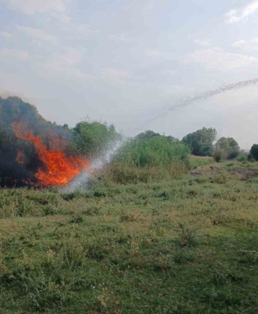 agaclik-alanda-cikan-yangin-itfaiye-ekiplerinin-hizli-mudahalesiyle-kontrol-altina-alindi-vnuxThdH.jpg