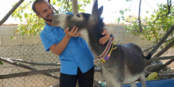 Annesini Kaybeden Eşeğe Şefkatle Bakış