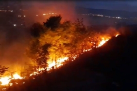 ardahanda-geceyi-aydinlatan-aniz-ve-fidanlik-yangini-VTh7YRWc.jpg