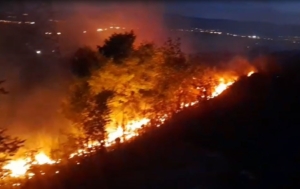 ardahanda-geceyi-aydinlatan-aniz-ve-fidanlik-yangini-VTh7YRWc.jpg