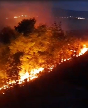 ardahanda-geceyi-aydinlatan-aniz-ve-fidanlik-yangini-VTh7YRWc.jpg