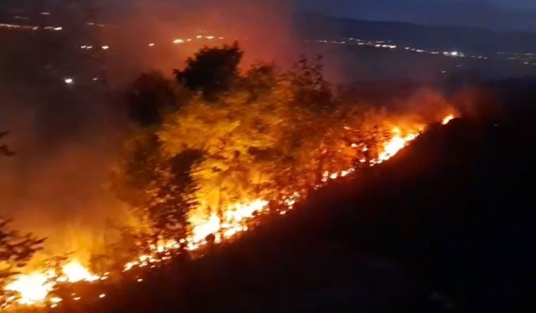 ardahanda-geceyi-aydinlatan-aniz-ve-fidanlik-yangini-VTh7YRWc.jpg