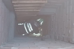 Batman Sanayi Sitesi'nde Hava Boşluğunda Mahsur Kalan Kedinin Kurtuluş Hikayesi batman-sanayi-sitesinde-hava-boslugunda-mahsur-kalan-kedinin-kurtulus-hikayesi-QJvOODnn.jpg