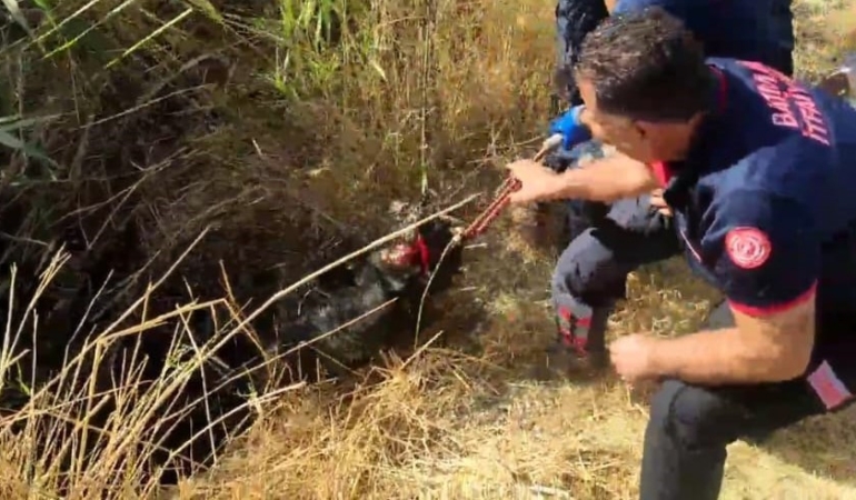 batmanda-kuyuya-dusen-keci-kurtarma-operasyonu-basariyla-tamamlandi-R6hpBNRH.jpg