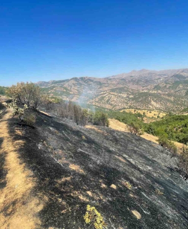 diyarbakirdaki-uc-farkli-noktada-kontrol-altina-alinan-yanginlar-yGRljjd8.jpg