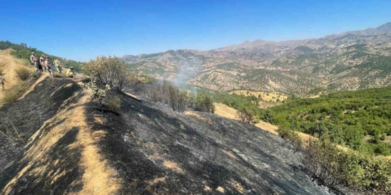 Diyarbakır'daki Üç Farklı Noktada Kontrol Altına Alınan Yangınlar Diyarbakır’daki Üç Farklı Noktada Kontrol Altına Alınan Yangınlar