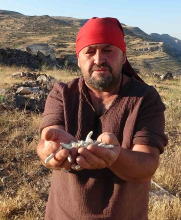 dogal-olarak-yetisen-ve-kilosu-10-bin-tlye-satilan-essiz-bitki-kZtcmMyP.jpg