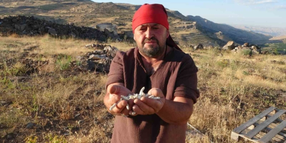 Doğal Olarak Yetişen ve Kilosu 10 Bin TL'ye Satılan Eşsiz Bitki Doğal Olarak Yetişen ve Kilosu 10 Bin TL’ye Satılan Eşsiz Bitki