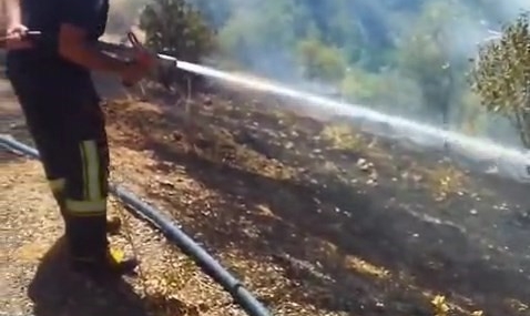 Elazığ'da Bahçe Yangını Kontrol Altına Alındı Elazığ’da Bahçe Yangını Kontrol Altına Alındı