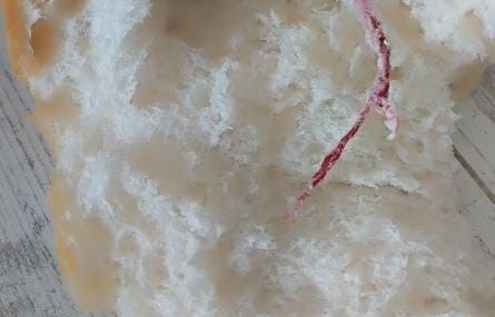 Elazığ'da Ekmeğin İçinden Şaşırtan İp Çıktı Elazığ’da Ekmeğin İçinden Şaşırtan İp Çıktı