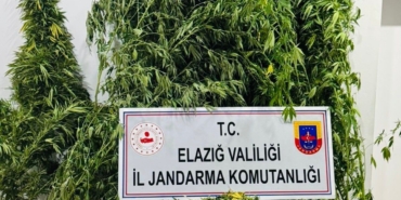 elazigda-uyusturucu-ile-mucadelede-yeni-adimlar-KaH6qr7X.jpg