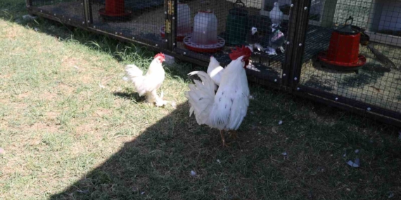 Engelsiz Yaşam Merkezi'nden Devrim Niteliğinde Rehabilitasyon Uygulaması Engelsiz Yaşam Merkezi’nden Devrim Niteliğinde Rehabilitasyon Uygulaması