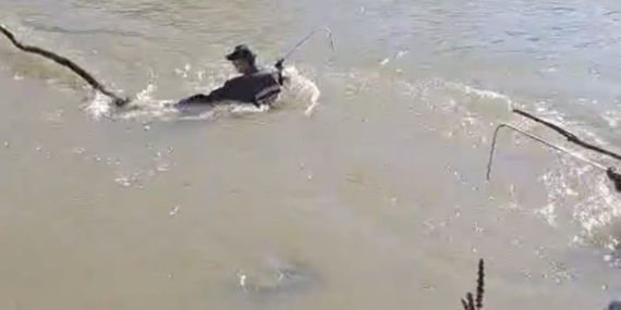 Karasu Nehri'nde Kaybolan Yolcunun Arama Çalışmaları Sürüyor Karasu Nehri’nde Kaybolan Yolcunun Arama Çalışmaları Sürüyor