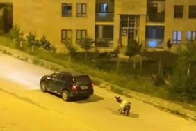 karsta-esegi-arabaya-baglayarak-zorla-goturenler-saskinlik-yaratti-CMfcKUAx.jpg
