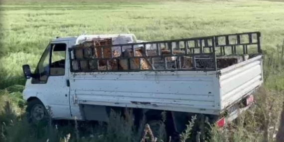 Kovan Yüklü Kamyonet Devrildi: Arılar Serpildi, Panik Yarattı! Kovan Yüklü Kamyonet Devrildi: Arılar Serpildi, Panik Yarattı!