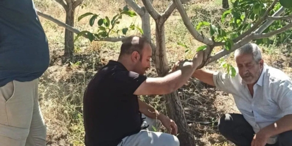 Kovancılar'daki Çiftçiler Bilgilendirme Faaliyetinde Bir Araya Geldi Kovancılar’daki Çiftçiler Bilgilendirme Faaliyetinde Bir Araya Geldi