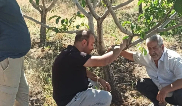 kovancilardaki-ciftciler-bilgilendirme-faaliyetinde-bir-araya-geldi-MljTEHRZ.jpg