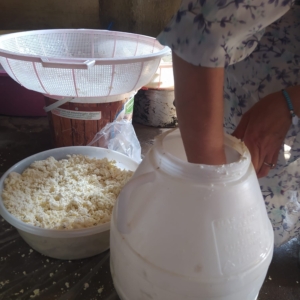 kuma-gomulen-kup-peyniri-asirlik-lezzetin-modern-yuzu-pHDPWfyy.jpg