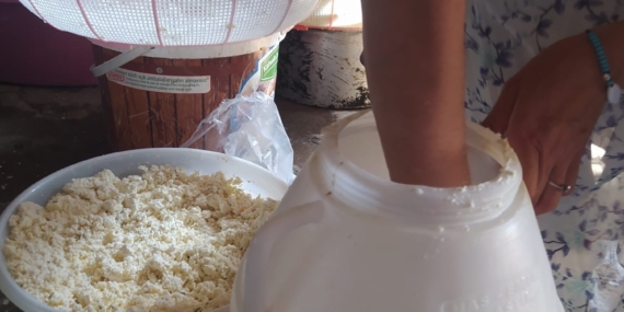 Kuma Gömülen Küp Peyniri: Asırlık Lezzetin Modern Yüzü Kuma Gömülen Küp Peyniri: Asırlık Lezzetin Modern Yüzü