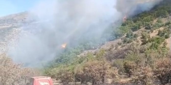 Malatya Orman Yangını Kontrol Altına Alındı: Son Durum Malatya Orman Yangını Kontrol Altına Alındı: Son Durum